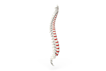 Chiropraktische Mobilisation